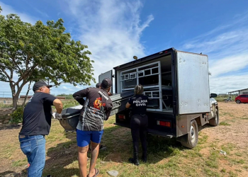 Corpo de homem que desapareceu em barragem é encontrado por mergulhadores no Sul do Piauí