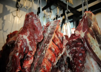 União Europeia proíbe importações de carne do Brasil a partir de setembro