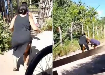 Mulher é conduzida à delegacia após ser flagrada agredindo a própria mãe idosa no Litoral do Piauí