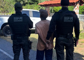 Donos de animais soltos são conduzidos e foragidos são presos durante operações Rota Segura e Porteira Fechada no Piauí