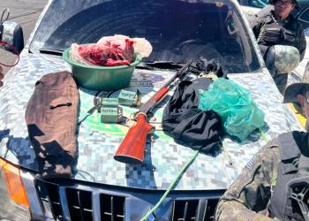 Polícia Militar apreende arma de fogo, munições e animais silvestres abatidos durante ação em Teresina