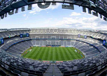 Fifa vende pedaços do gramado da final da Copa do Mundo por até R$ 15,5 mil; preço varia
