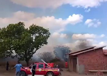 Bombeiros são acionados e combatem incêndio de grande proporção em área de vegetação no interior do Piauí
