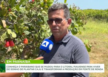 Produção de caju transforma propriedade rural em fonte de renda e emprego no litoral do Piauí; assista!
