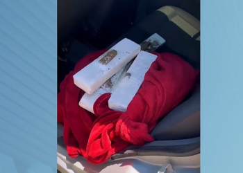 Polícia prende suspeito de tráfico que transportava drogas para 