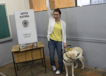Pet pode ser barrado na votação nas eleições 2026; entenda a regra