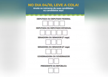 Eleitores podem levar ‘colinha’ para cabine de votação; baixe a sua para usar no domingo (4)