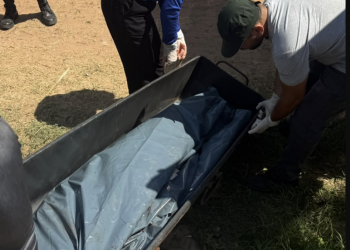 Suspeito de roubo pula muros de residências durante fuga, troca tiros com a PM e morre baleado em Timon