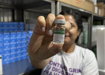 Piauí lidera ranking nacional de vacinação contra gripe e libera imunizante para público geral