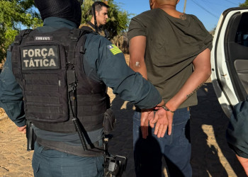 Polícia cumpre mais de 10 mandados contra suspeitos de tráfico de drogas em três municípios do Sul do Piauí