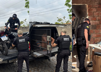 DRFV prende suspeitos de roubos e furtos de veículos em Teresina; um deles envolvido com tentativa de latrocínio