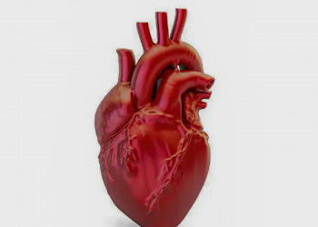 A cada 72 segundos, uma pessoa morre por doença cardiovascular no país