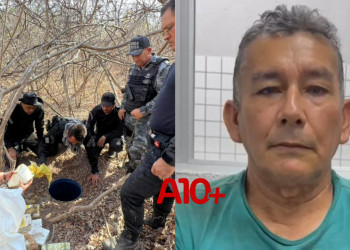 Apreensão de 300 kg de drogas do Comando Vermelho: defesa diz que homem preso seria lavrador e teria alugado terreno no Piauí; veja detalhes