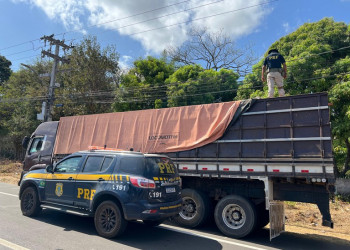 PRF apreende 29m³ de madeira ilegal durante abordagem na BR-343, em Teresina