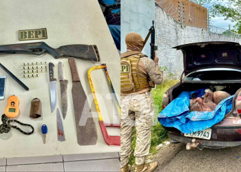 Polícia prende homens com arma de fogo e animais abatidos na zona Norte de Teresina