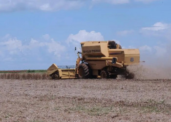 Brasil terá novas regras para entrada de produtos agropecuários