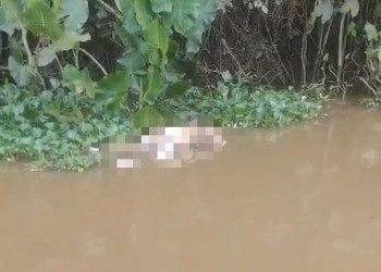 Corpo é encontrado boiando embaixo de nova ponte em construção em Teresina; vítima não foi identificada e polícia investiga