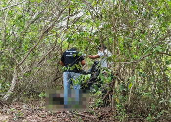 Corpo de homem é encontrado com a cabeça decapitada e carbonizado no litoral do Piauí