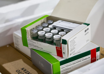 Sesapi promove reunião virtual para alinhamento da estratégia de vacinação contra influenza em 2026