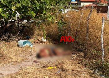 Mulher é encontrada morta com perfurações pelo corpo em terreno no litoral do Piauí
