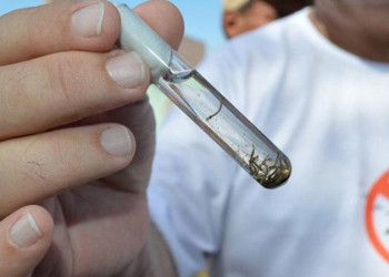 Prefeitura institui comitê técnico para combater casos de dengue, chikungunya e zika em Teresina