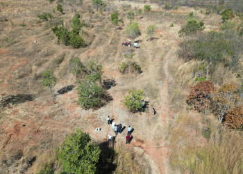 Piauí reduz desmatamento no Cerrado em 53% e amplia proteção da biodiversidade no estado