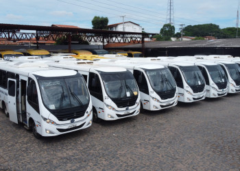 Pesquisa aponta que 100% dos usuários recomendam serviço do Sistema de Transporte Eletivo (STE)