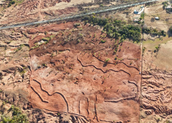 Gel natural criado no Piauí é usado para recuperar solo degradado em Gilbués