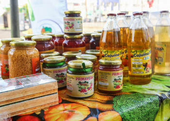 Prazo de inscrições para projeto que vai investir R$ 33 milhões na agricultura familiar é prorrogado