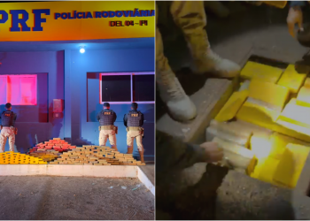 PRF apreende mais de 250kg de drogas e prende motorista no Piauí; receberia R$ 10 mil pelo transporte