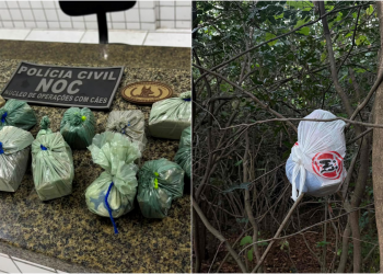 Polícia realiza ação, cumpre mandados e prende quatro pessoas envolvidas com tráfico de drogas no litoral do Piauí