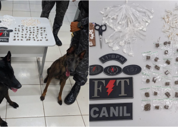 Polícia realiza ação e apreende drogas escondidas em matagal em Timon-MA