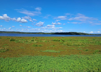Secretaria do Meio Ambiente investiga proliferação de vegetação no Açude Caldeirão em Piripiri