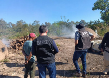 Trabalhadores encontrados em condições análogas à escravidão em carvoaria no Sul do Piauí são resgatados pelo MPT-PI e MTE