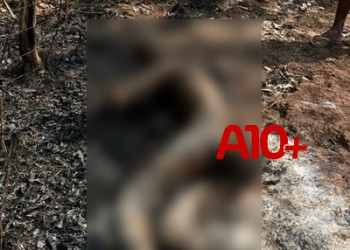 Corpo de homem é encontrado carbonizado em área de mata na zona rural de Timon, Maranhão