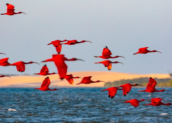 Delta do Parnaíba registra crescimento no fluxo de turistas e se destaca como referência nacional em ecoturismo