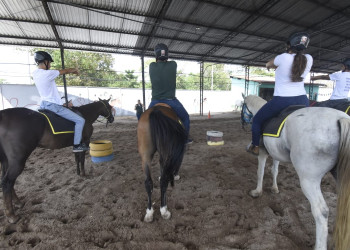 Equoterapia no Piauí já beneficiou mais de 6 mil pessoas e realizou cerca de 60 mil atendimentos