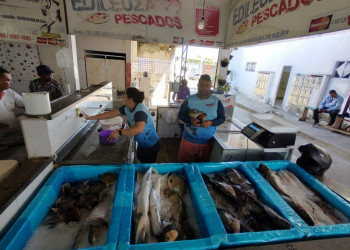 Badespi libera R$ 80 milhões em crédito, amplia presença territorial e gera desenvolvimento em todo o Piauí