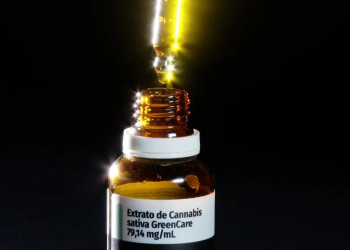 Anvisa aprova cultivo de cannabis por empresas e amplia acesso