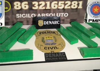 Homem é preso em Teresina enquanto distribuía drogas para bocas de fumo; 15 kg de maconha apreendidos