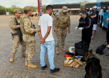 Polícia prende suspeito de tráfico interestadual e apreende 12 tabletes de maconha em Picos, Piauí