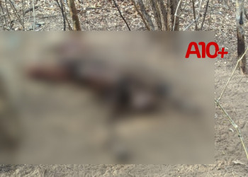 Homem que estava desaparecido há 5 dias é encontrado morto em área de mata no litoral do Piauí