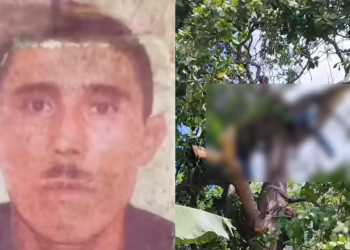 Homem é atingido por galho e morre enquanto fazia poda de árvore no litoral do Piauí