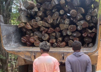 PM prende motorista e passageiro por transporte ilegal de madeira no interior do Piauí