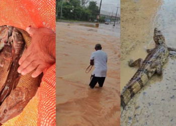 Homem pesca peixes com tarrafa em avenida alagada na zona Sudeste Teresina; VÍDEO!