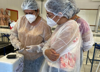 Piauí tem aumento no número de transplantes de córneas no 1º semestre deste ano