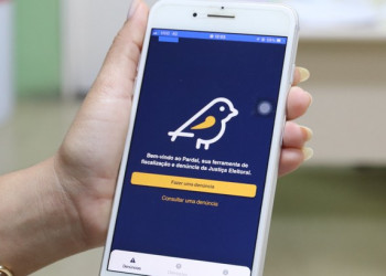 Pardal registra mais de 30 denúncias no Piauí; maioria dos registros se refere a adesivagem de veículos