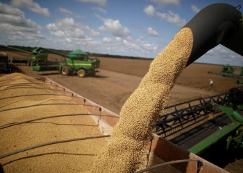 Balança Comercial do Piauí registra superávit de R$ 573 milhões no mês de abril
