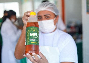 Secretaria da Educação anuncia compra de mel para merenda escolar e apoio a apicultores piauienses