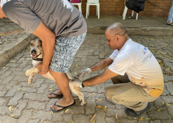 Vacinação contra a raiva na zona rural de Teresina começa neste sábado (18)